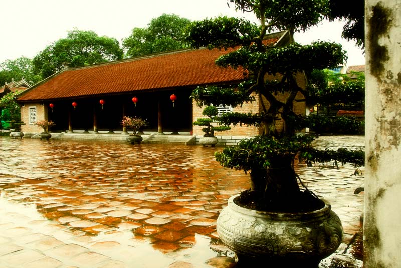 peace-piece-tom-abraham-temple of literature I | Văn Miếu I