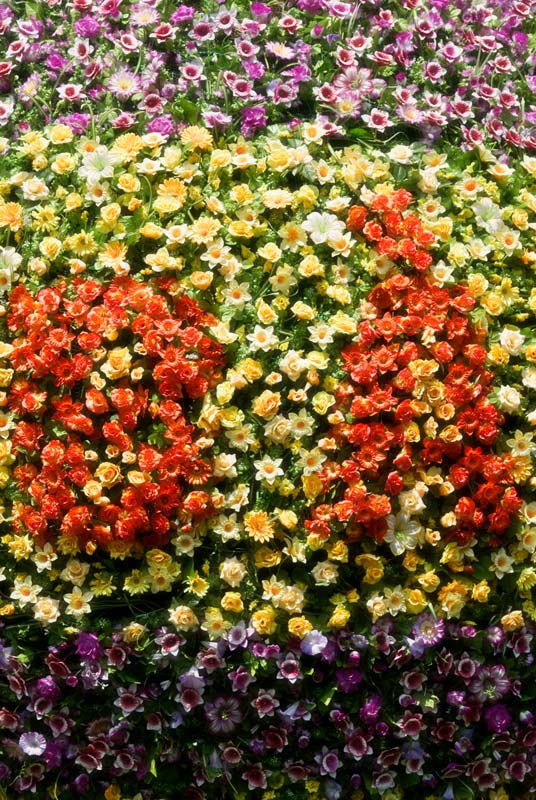 peace-piece-tom-abraham-written in flowers  |  được viết bằng hoa