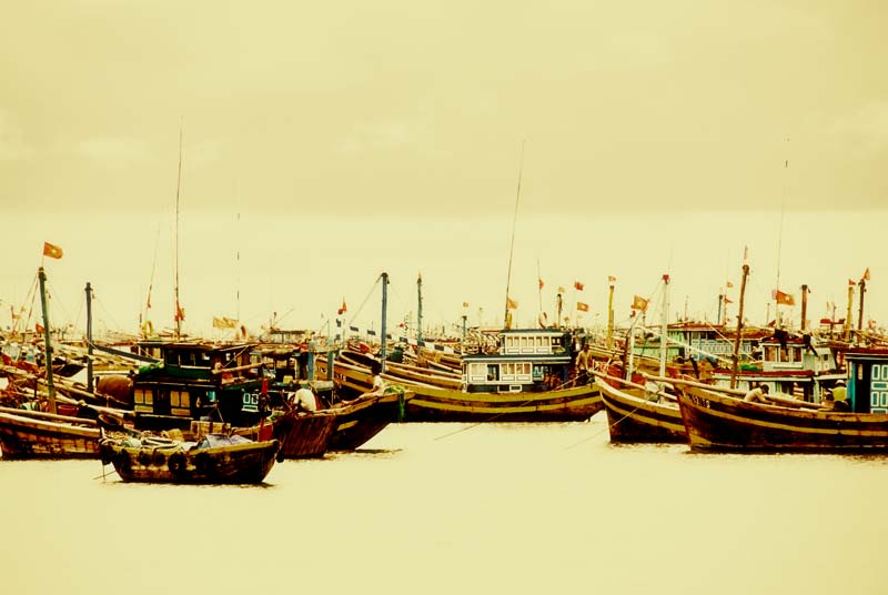 peace-piece-tom-abraham-fishing boats at Mui Ne I | thuyền đánh cá ở Mũi Né I