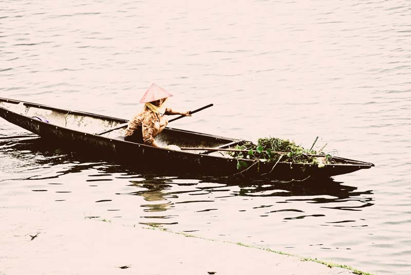 peace-piece-tom-abraham-lonely search  |  tim kiểm trong cô đơn