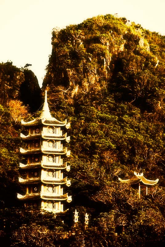 peace-piece-tom-abraham-golden pagoda | chùa vàng