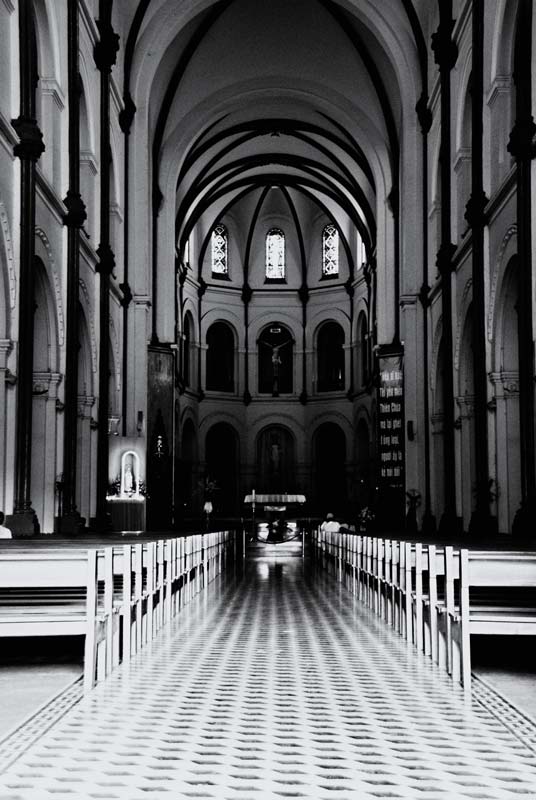 peace-piece-tom-abraham-Saigon Notre-Dame Basilica IV | Nhà Thờ Đức Bà Sài Gòn IV