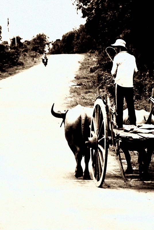 peace-piece-tom-abraham-man with bullwhip  |  người cầm roi